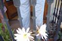 p1000143_resize.JPG