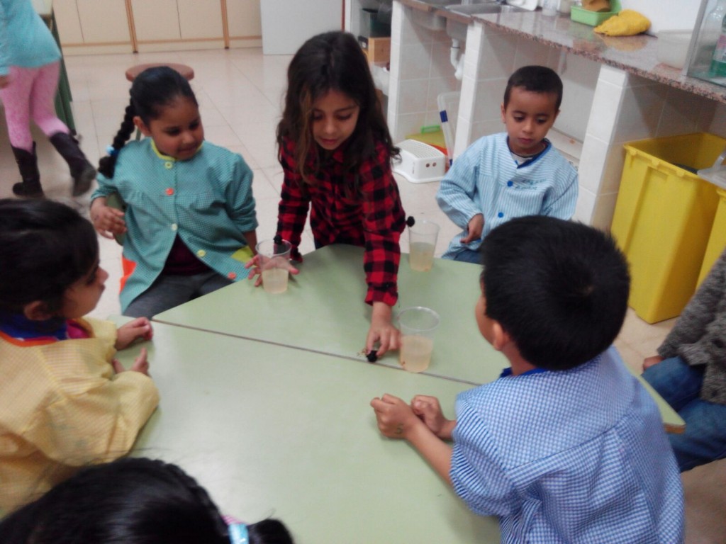 IMG-20160406-WA0034 - copia