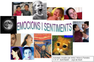 emocionsjcic