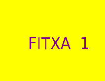 FITXA 1