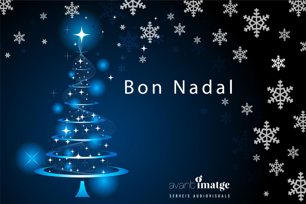 felicitacio_nadal_2013_web-01