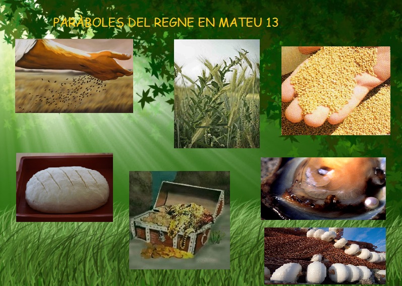 mt13