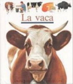 vaca