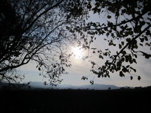 img_1930