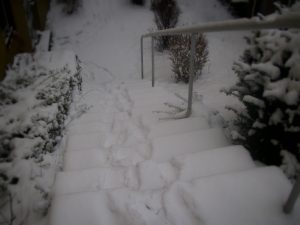 neu