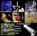 Triar entre opcions, obligacions i prohicions