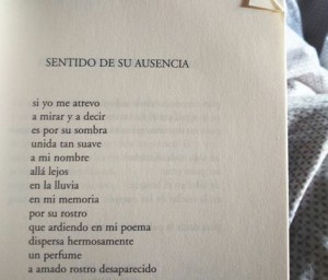 2015-10-15 17.12.39 lidia Borrachero