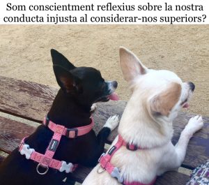 Enviat per Sophi