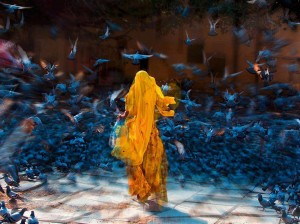 551633_585415131509894_59256133_n