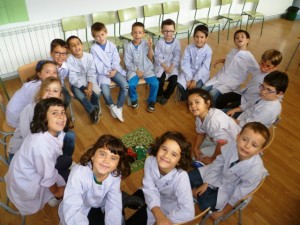 Rotllana baixa resolució