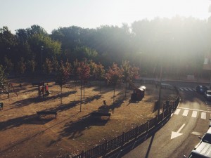 IMG_2483
