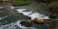 DSC00078(1)