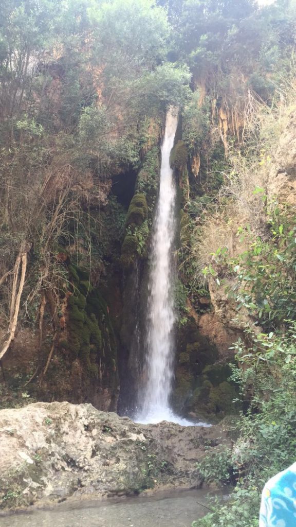 image1