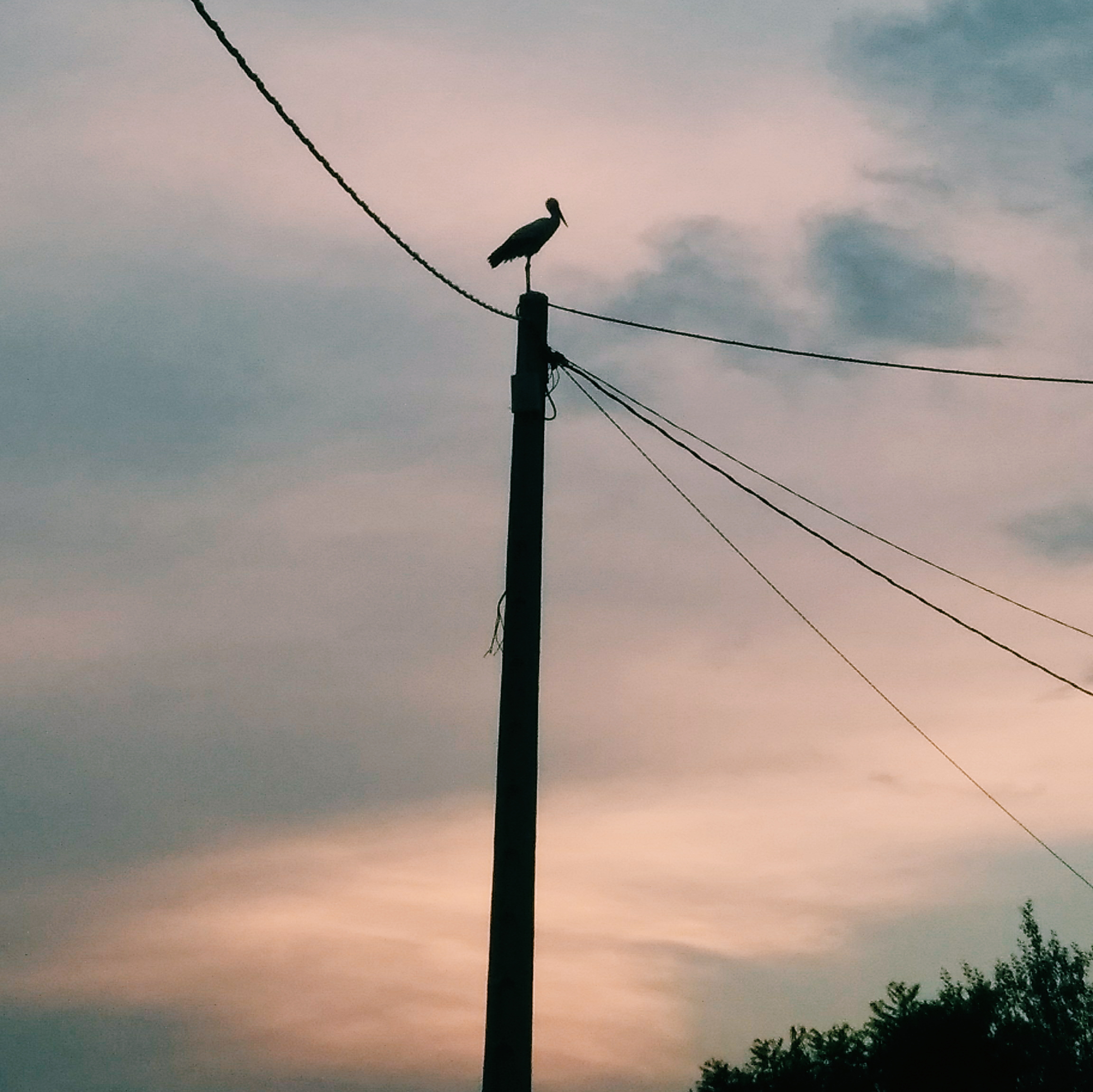 Processed with VSCO with c1 preset