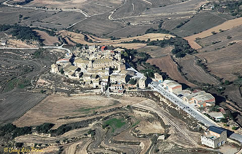 florejacsxic.jpg