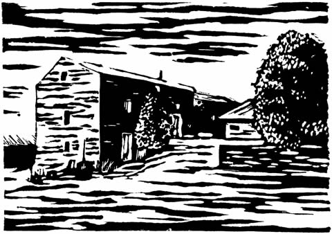 masia-linoleum