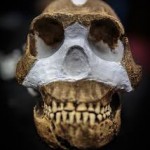 NALEDI 1