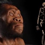 NALEDI 2