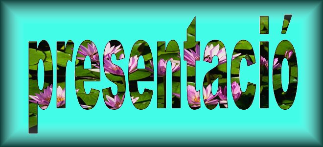 presentacio.jpg