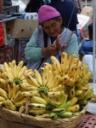 ecuador.jpg