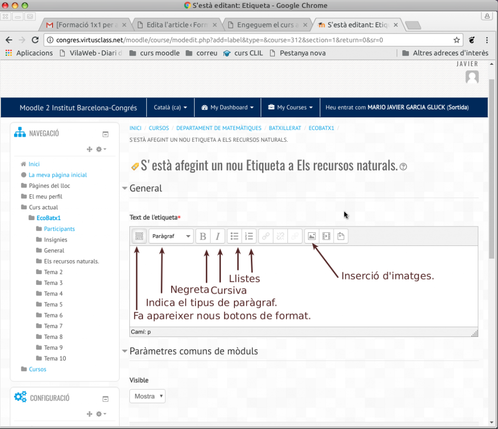 S'està editant: Etiqueta - Google Chrome_024