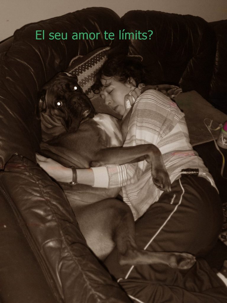 Fotofilo Laia Cabrera