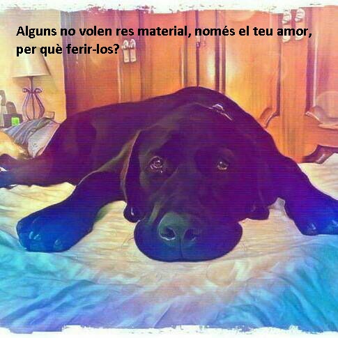 Fotofilo Sebastian Bayer