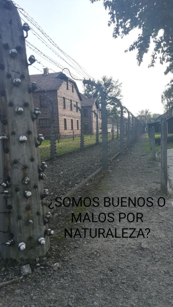 Nelson fotofilo bona