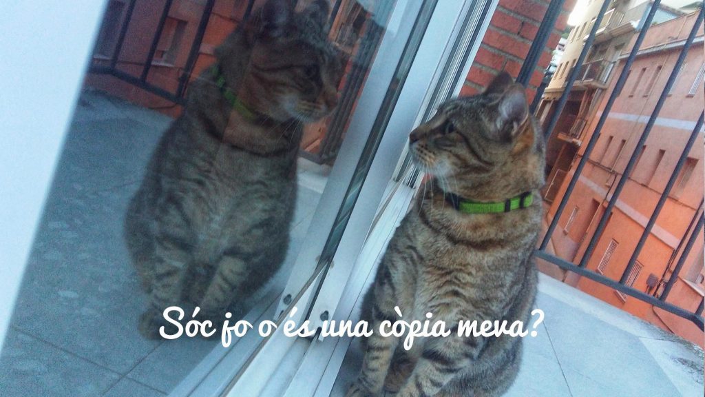 fotofilo Esther Mata