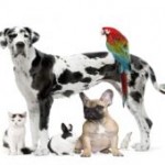 istock_000008936112xsmall_0