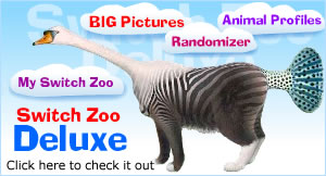 deluxe_300x162