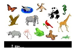 spy