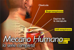 mecano-humano
