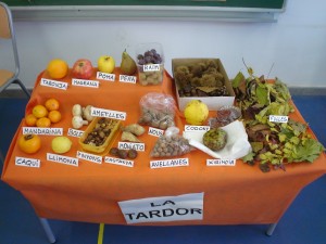 tast-fruits-tardor1