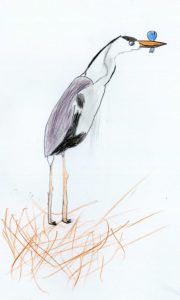Carlota-Pino-bernat-pescaire-imatge-530x882