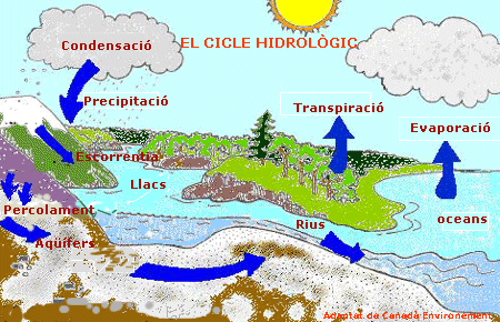 cicle aigua