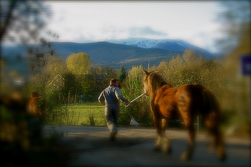 paisatge-de-tardor1
