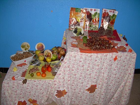 La paradeta de fruita de la tardor