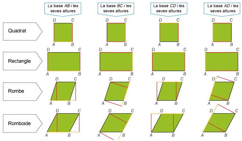 base-y-altura-paralelogramos