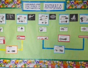 vertebrate animals
