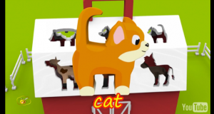 cat