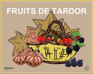 fruits de tardor