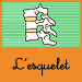 esquelet1