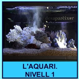 aquari