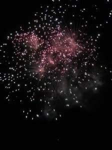 imagen-527