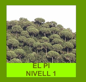 proyecto4