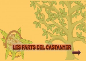 proyecto5