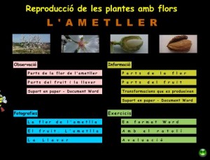 atmetller