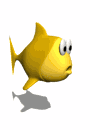animales24