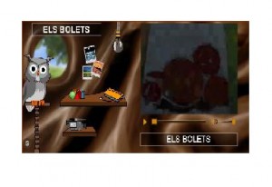 EDU BOLETS